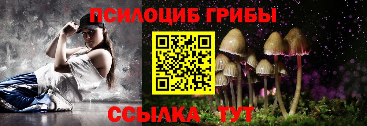Псилоцибиновые грибы мицелий  Псилоцибиновые грибы Cubensis  Вход с VPN  Орск 